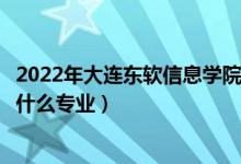 2022年大連東軟信息學(xué)院在江西招生計(jì)劃及招生人數(shù)（都招什么專業(yè)）