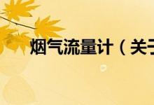 煙氣流量計(jì)（關(guān)于煙氣流量計(jì)的介紹）