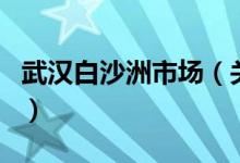 武漢白沙洲市場（關于武漢白沙洲市場的介紹）