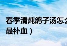 春季清燉鴿子湯怎么燉最營(yíng)養(yǎng)（鴿子湯怎么燉最補(bǔ)血）