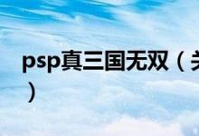 psp真三國無雙（關(guān)于psp真三國無雙的介紹）