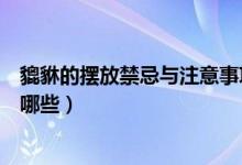 貔貅的擺放禁忌與注意事項(xiàng)（貔貅擺放禁忌與注意事項(xiàng)都有哪些）