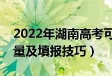 2022年湖南高考可以填多少個(gè)志愿（志愿數(shù)量及填報(bào)技巧）