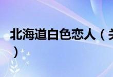 北海道白色戀人（關(guān)于北海道白色戀人的介紹）