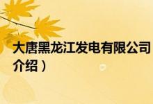 大唐黑龍江發(fā)電有限公司（關(guān)于大唐黑龍江發(fā)電有限公司的介紹）