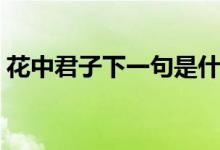 花中君子下一句是什么（花中君子出自哪里）