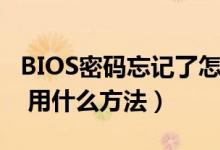 BIOS密碼忘記了怎么辦（BIOS密碼破解方法 用什么方法）