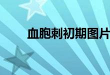 血胞刺初期圖片（血胞刺怎么治療）