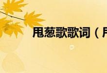 甩蔥歌歌詞（甩蔥歌歌詞是什么）