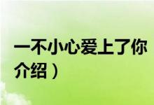 一不小心愛上了你（關(guān)于一不小心愛上了你的介紹）