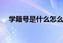 學(xué)籍號(hào)是什么怎么查詢（學(xué)籍號(hào)是什么）