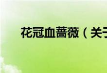 花冠血薔薇（關(guān)于花冠血薔薇的介紹）