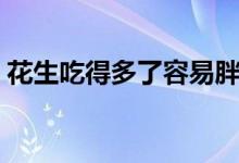 花生吃得多了容易胖嗎（花生吃多了會(huì)胖嗎）