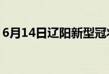 6月14日遼陽(yáng)新型冠狀病毒肺炎疫情最新消息