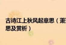 古詩江上秋風起意思（蕭蕭梧葉送寒聲江上秋風送客行的意思及賞析）