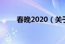 春晚2020（關(guān)于春晚2020的介紹）