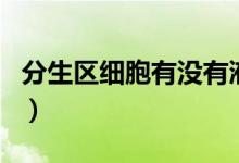 分生區(qū)細(xì)胞有沒(méi)有液泡（分生區(qū)細(xì)胞有液泡嗎）