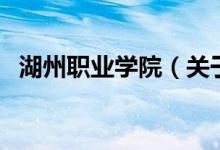 湖州職業(yè)學(xué)院（關(guān)于湖州職業(yè)學(xué)院的介紹）