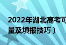 2022年湖北高考可以填多少個(gè)志愿（志愿數(shù)量及填報(bào)技巧）