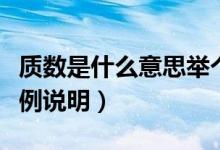 質(zhì)數(shù)是什么意思舉個(gè)例子（質(zhì)數(shù)是什么意思舉例說明）