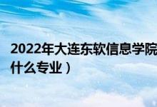 2022年大連東軟信息學(xué)院在廣東招生計(jì)劃及招生人數(shù)（都招什么專業(yè)）