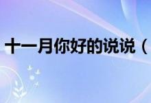 十一月你好的說說（十一月你好的說說精選）