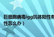 巨細(xì)胞病毒igg抗體陽性有什么癥狀（巨細(xì)胞病毒IgG抗體陽性怎么辦）