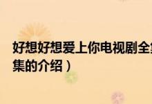 好想好想愛上你電視劇全集（關(guān)于好想好想愛上你電視劇全集的介紹）