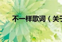 不一樣歌詞（關(guān)于不一樣歌詞的介紹）
