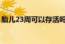 胎兒23周可以存活嗎（胎兒多少周可以存活）
