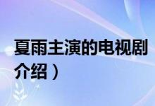 夏雨主演的電視?。P(guān)于夏雨主演的電視劇的介紹）