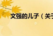 文強(qiáng)的兒子（關(guān)于文強(qiáng)的兒子的介紹）