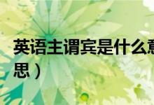 英語主謂賓是什么意思（英語主謂賓是什么意思）