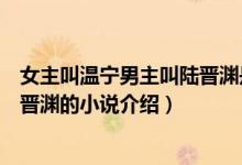 女主叫溫寧男主叫陸晉淵是什么小說（女主叫溫寧男主叫陸晉淵的小說介紹）