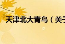 天津北大青鳥（關(guān)于天津北大青鳥的介紹）