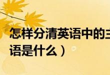 怎樣分清英語中的主語謂語賓語等（英語中賓語是什么）