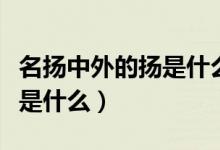 名揚中外的揚是什么意思（名揚中外的揚意思是什么）