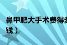 鼻甲肥大手術(shù)費得多少錢（鼻甲肥大手術(shù)多少錢）