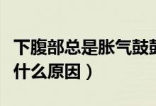 下腹部總是脹氣鼓鼓的（上腹部脹氣腹部鼓是什么原因）