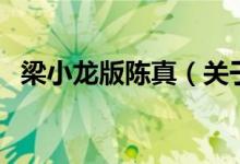 梁小龍版陳真（關(guān)于梁小龍版陳真的介紹）