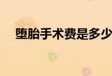 墮胎手術(shù)費(fèi)是多少（墮胎手術(shù)費(fèi)是多少）