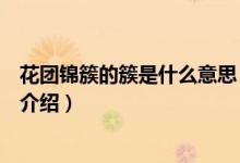 花團(tuán)錦簇的簇是什么意思（關(guān)于花團(tuán)錦簇的簇是什么意思的介紹）