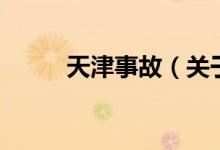 天津事故（關于天津事故的介紹）