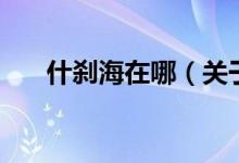 什剎海在哪（關于什剎海在哪的介紹）