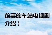 前妻的車站電視劇（關(guān)于前妻的車站電視劇的介紹）