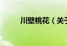 川壁桃花（關(guān)于川壁桃花的介紹）