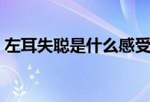 左耳失聰是什么感受（左耳失聰是怎么回事）