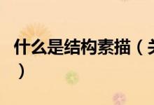 什么是結(jié)構(gòu)素描（關(guān)于什么是結(jié)構(gòu)素描的介紹）