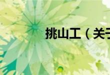 挑山工（關(guān)于挑山工的介紹）