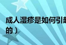 成人濕疹是如何引起的（成人濕疹是怎么引起的）